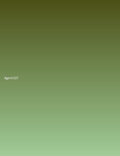 Агент 327